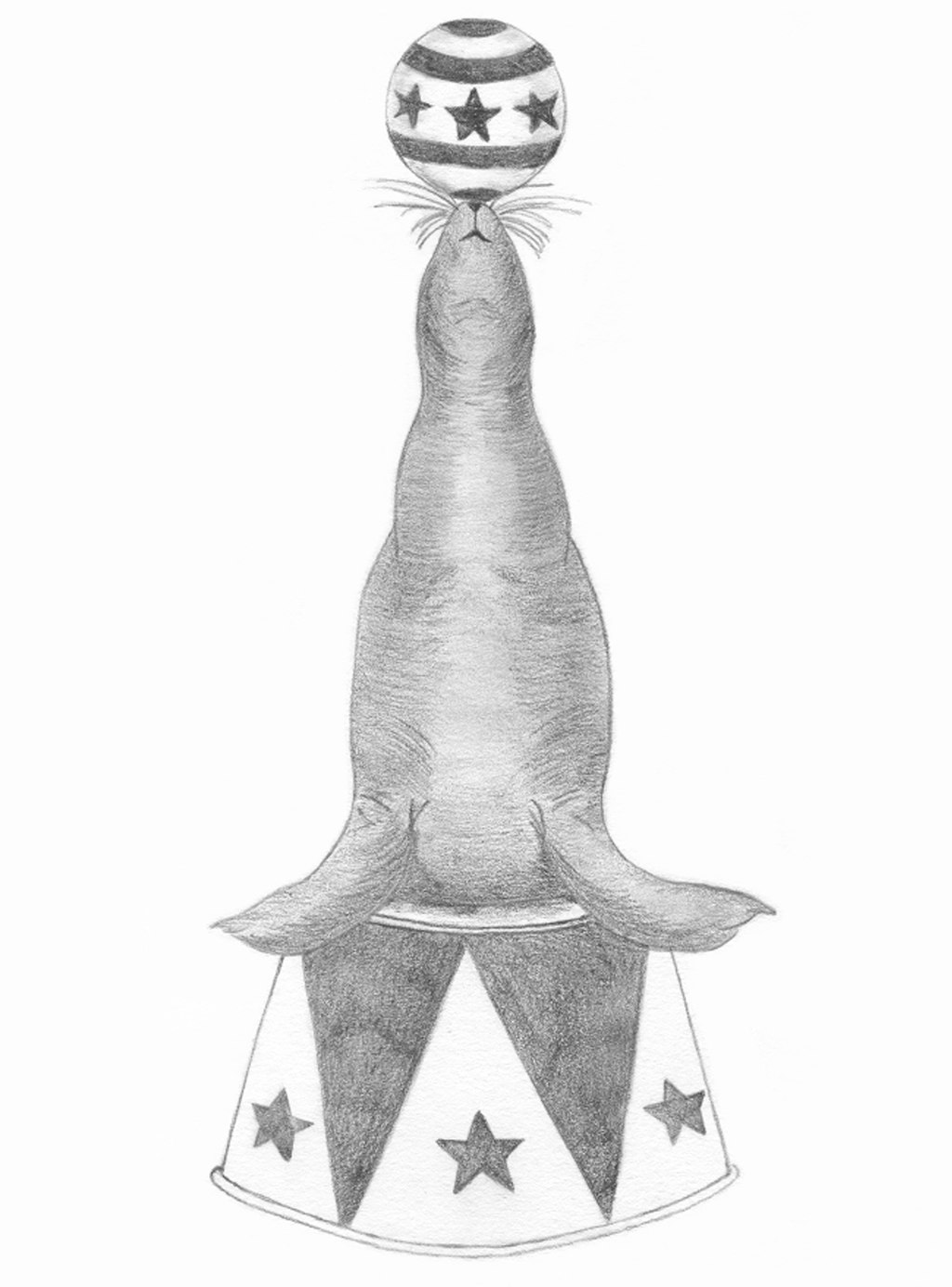 Dessin représentant une otarie